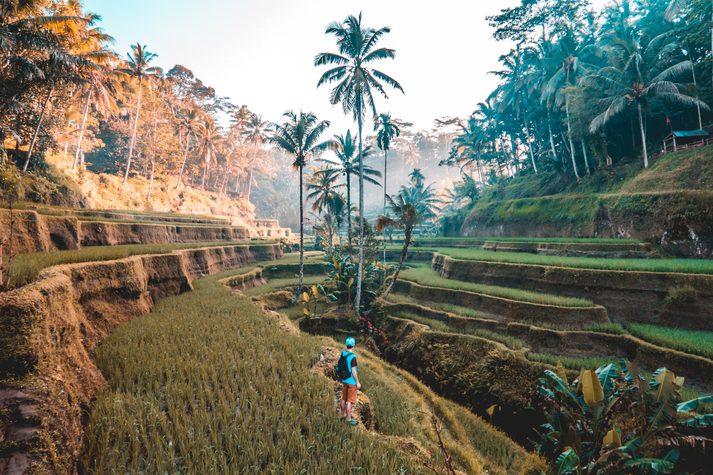 best-luxury-travel-advisors