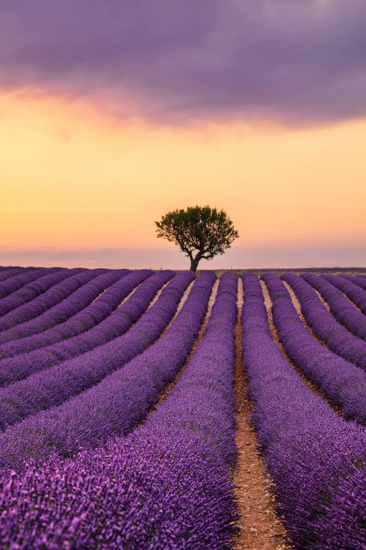 iconic-road-trips-europe